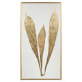 Modern Botany II | John-Richard - GBG-1295B