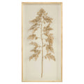 Golden Frond on Ivory I | John-Richard - GBG-1335A