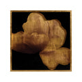 Mark McDowell's Kin Saki | John-Richard - GBG-2004