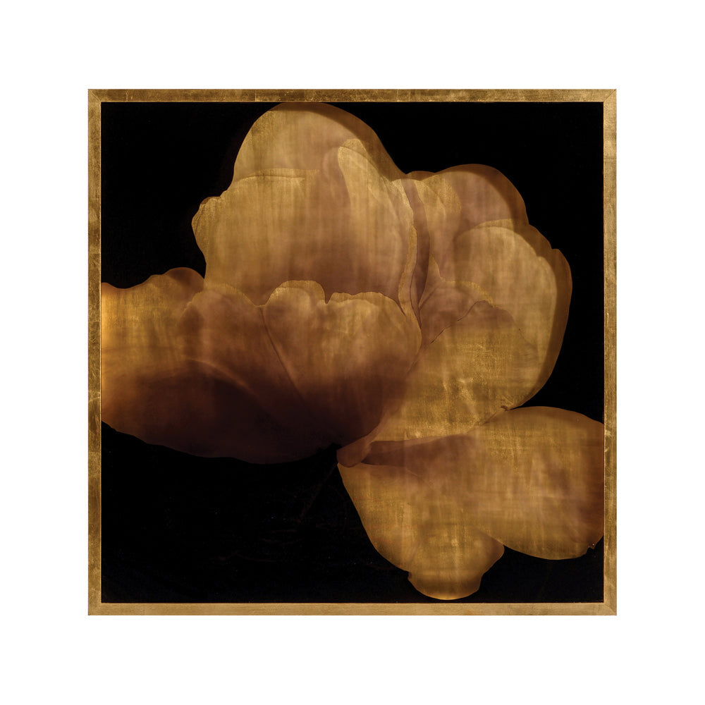 Mark McDowell's Kin Saki | John-Richard - GBG-2004