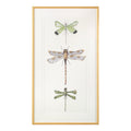 Joy Colangelo's Joyful Dragonflies I | John-Richard - GBG-2492A