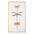 Joy Colangelo's Joyful Dragonflies II | John-Richard - GBG-2492B