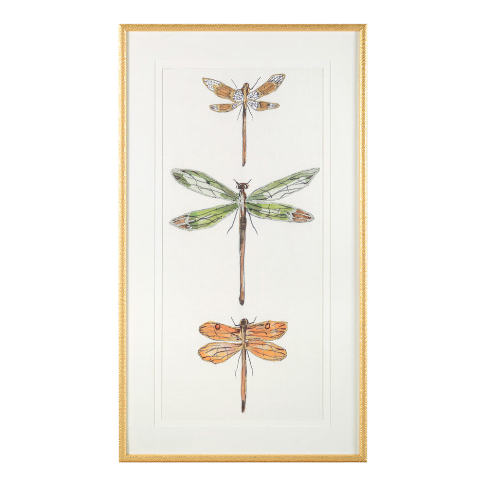 Joy Colangelo's Joyful Dragonflies II | John-Richard - GBG-2492B