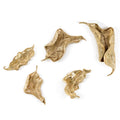 Curling Leaves Wall Sculpture (Set of Five) | John-Richard - GBG-2512S5