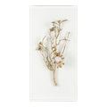 Gold Calcite I | John Richard - GBG-2863A