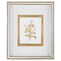 Golden Botanicals I | John Richard - GBG-3004A