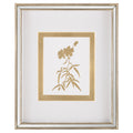 Golden Botanicals III | John Richard - GBG-3004C
