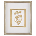 Golden Botanicals IV | John Richard - GBG-3004D