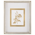 Golden Botanicals VI | John Richard - GBG-3004F