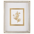 Golden Botanicals VII | John Richard - GBG-3004G