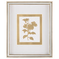 Golden Botanicals IX | John Richard - GBG-3004I