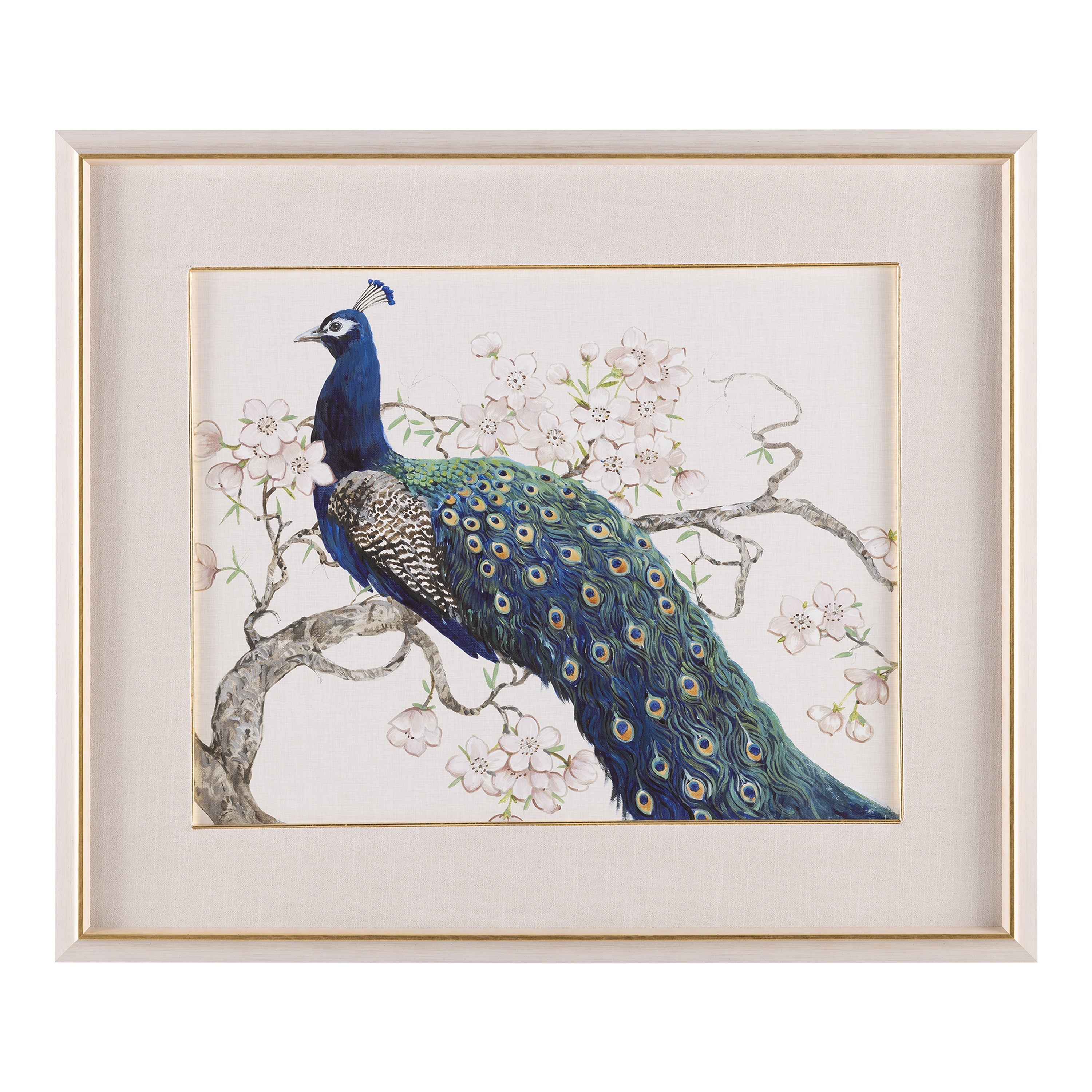 Tim O’Toole’s Peacock and Blossoms I | John Richard - GBG-3052A