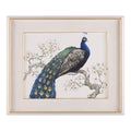 Tim O’Toole’s Peacock and Blossoms II | John Richard - GBG-3052B