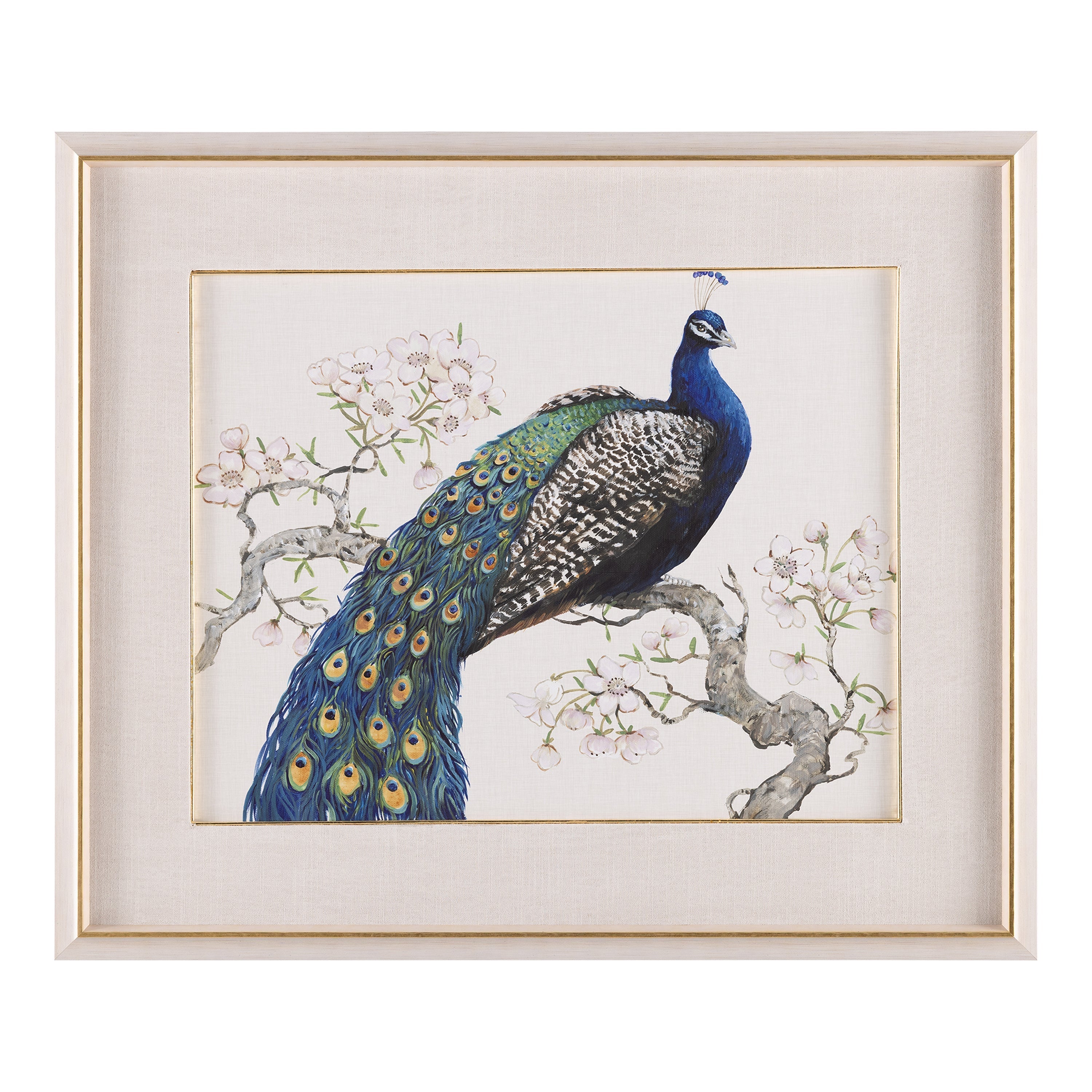 Tim O’Toole’s Peacock and Blossoms II | John Richard - GBG-3052B