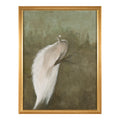 Debra Ferrari's The White Peacock | John Richard - GBG-3166