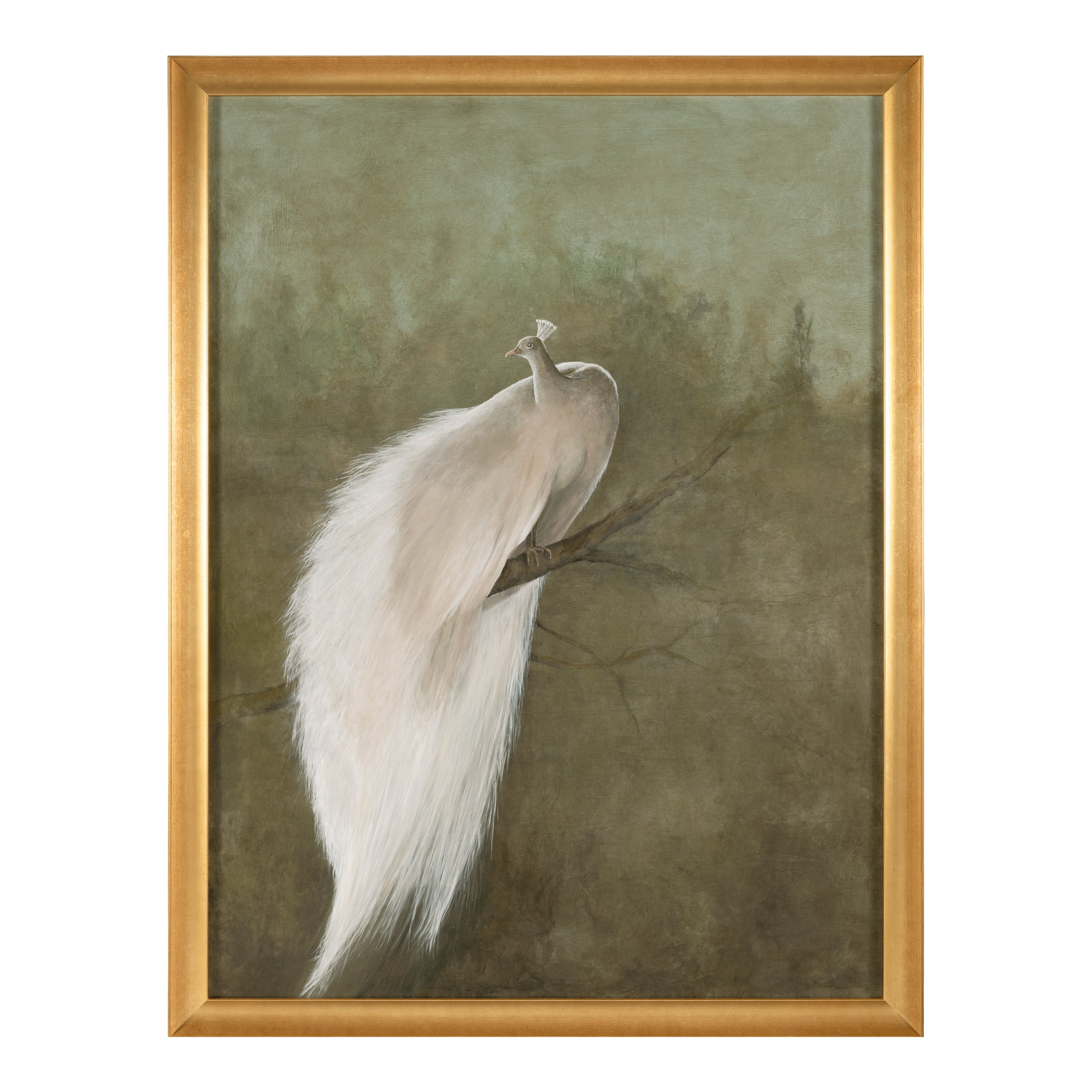 Debra Ferrari's The White Peacock | John Richard - GBG-3166