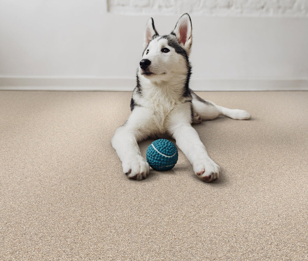 Husky