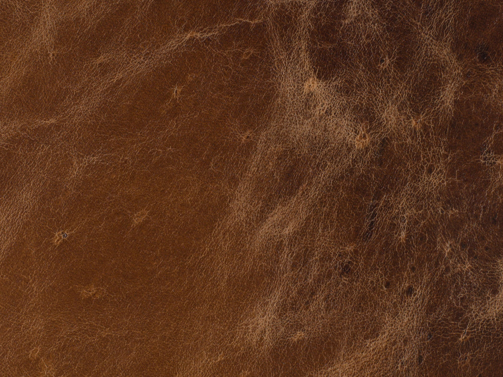 Imperial Empire Leather