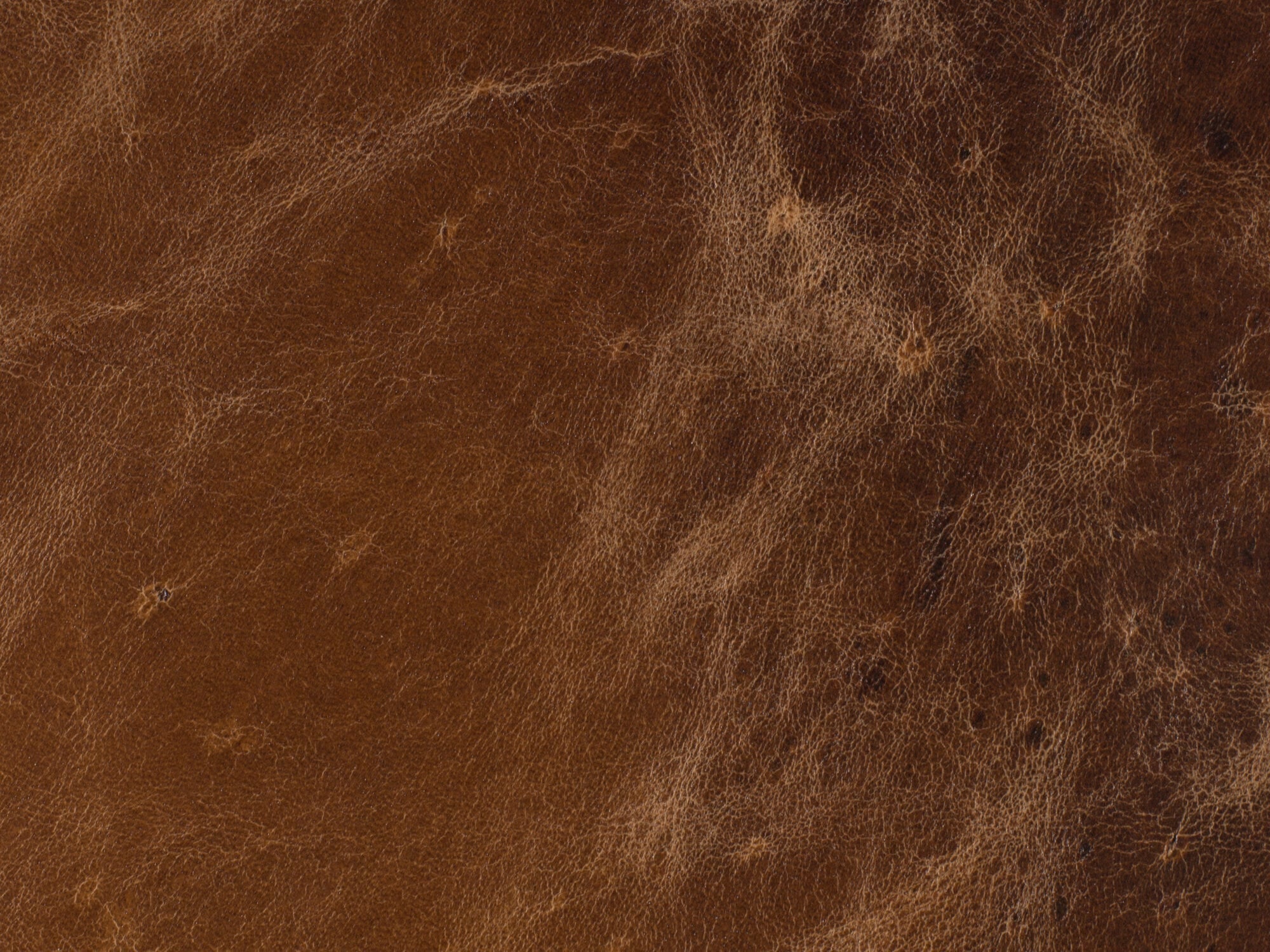 Imperial Empire Leather