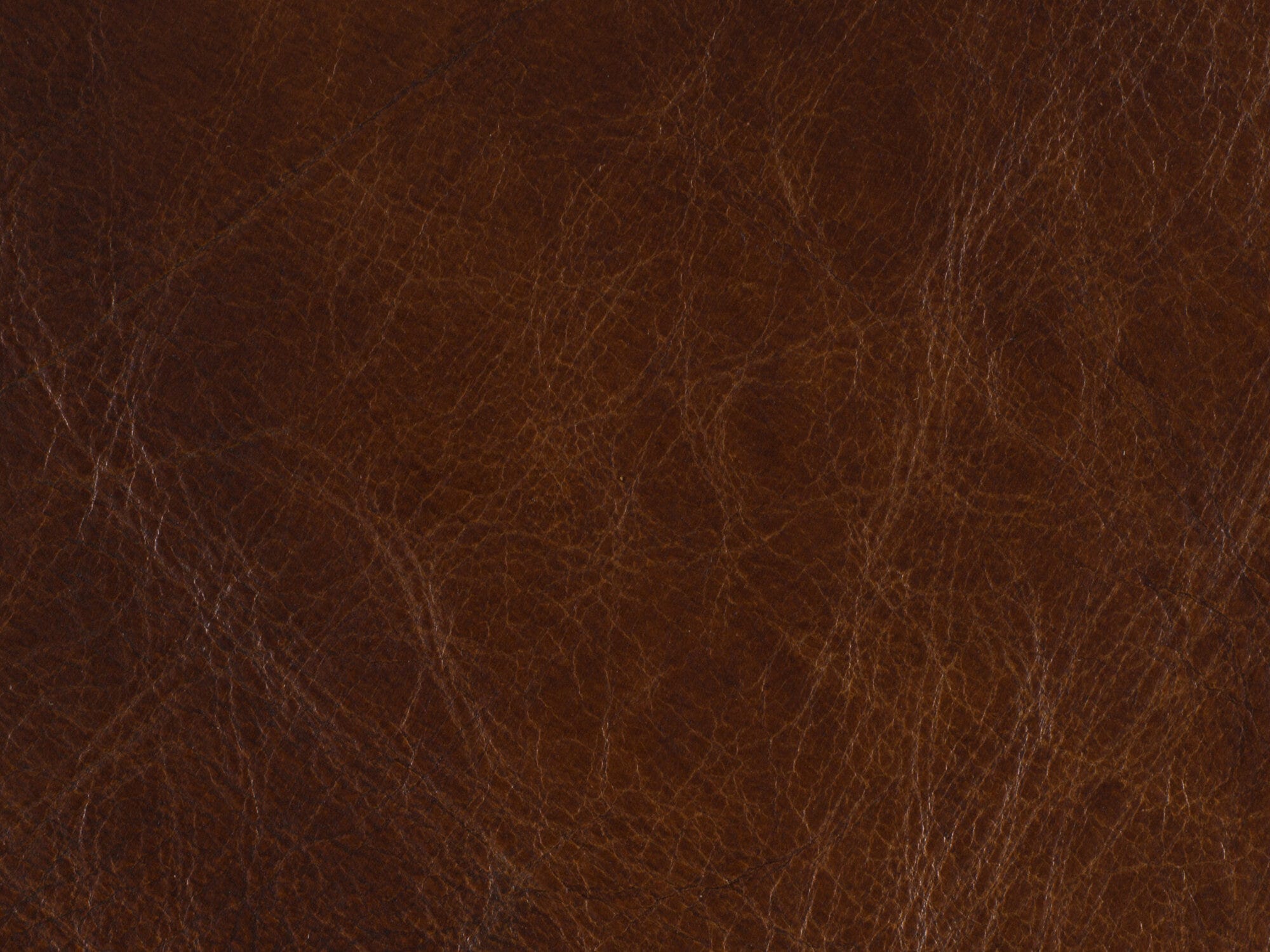 Isadora Nut Leather