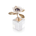 A Single Crystal Bloom | John-Richard - JRA-10092