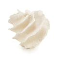 Diagonal Ruffle Vase | John-Richard - JRA-10148