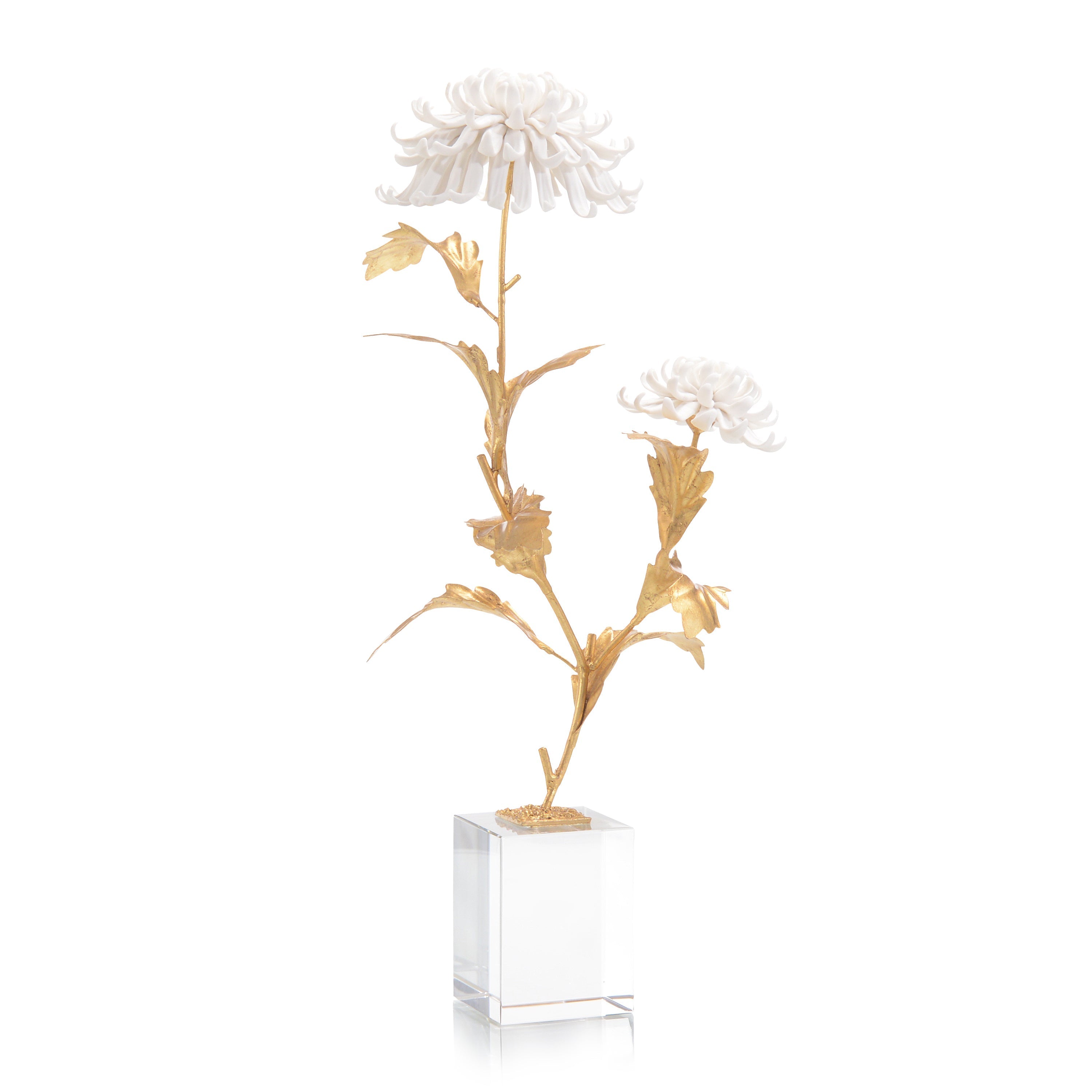 Avignon Chrysanthemums | John Richard - JRA-11423