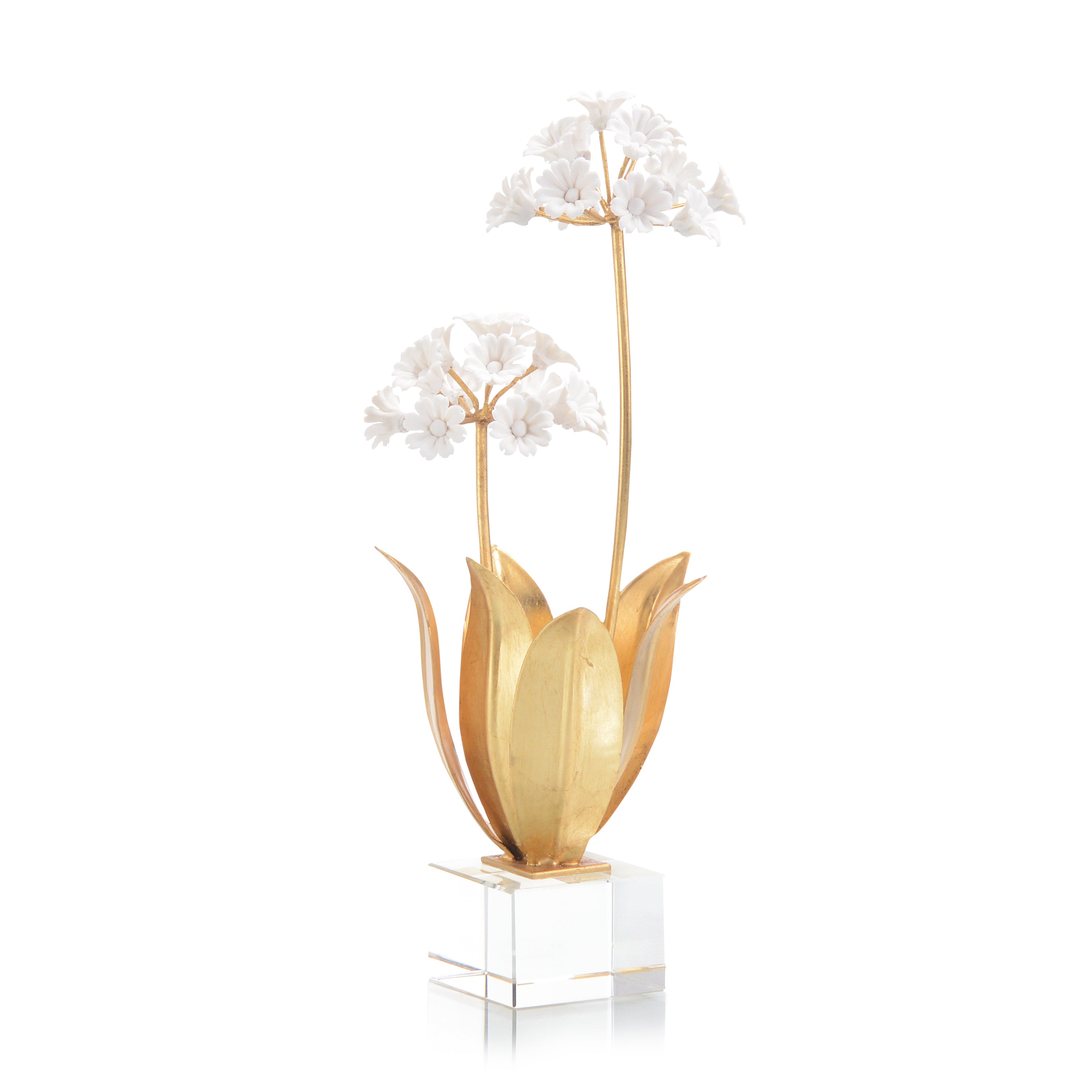 Allium Moly In Porcelain | John Richard - JRA-11424