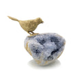 Bird on Celestite Rock I | John Richard - JRA-11624