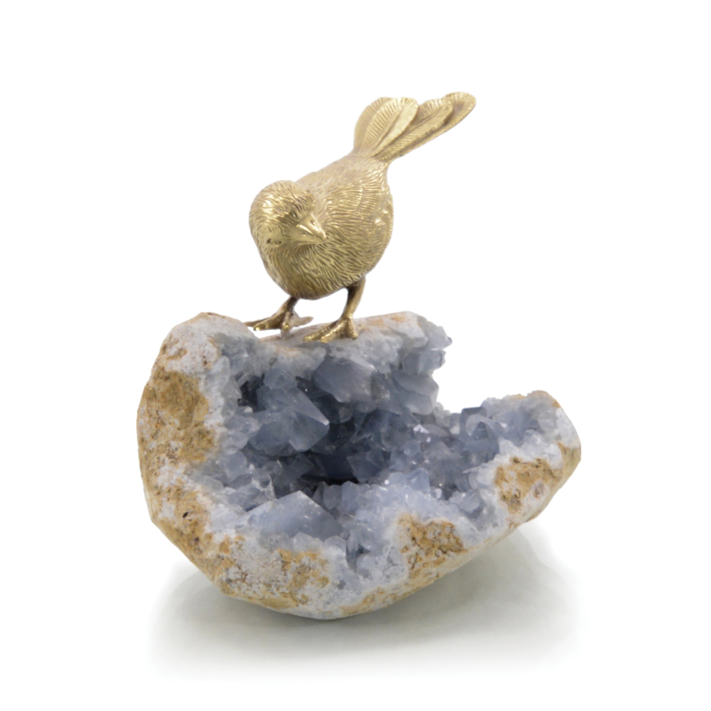 Bird on Celestite Rock II | John Richard - JRA-11625