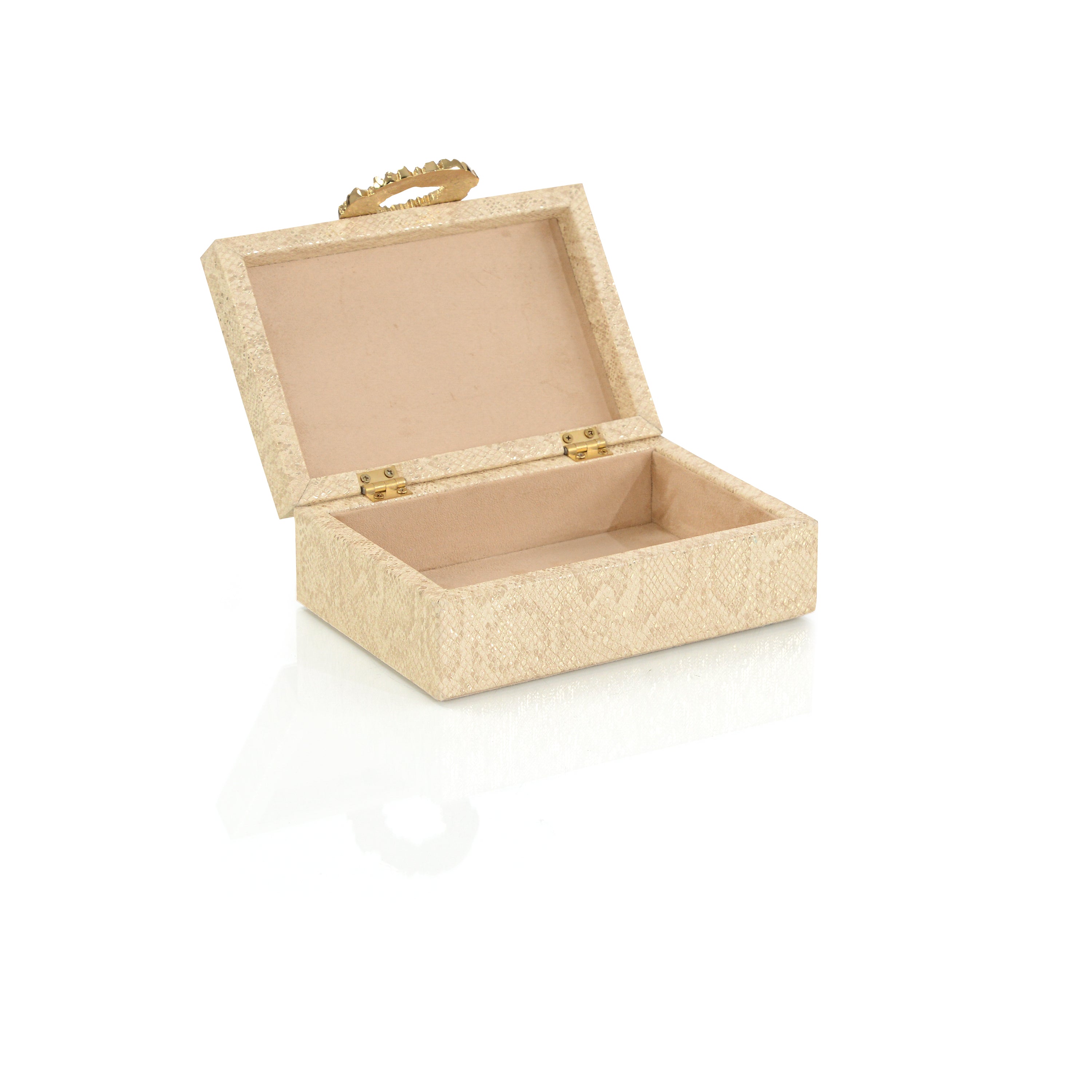 Dazzle Vegan Snakeskin Box Small | John-Richard - JRA-14122