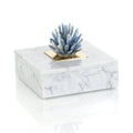 Kyanite Starburst and Marble Box | John Richard - JRA-14339