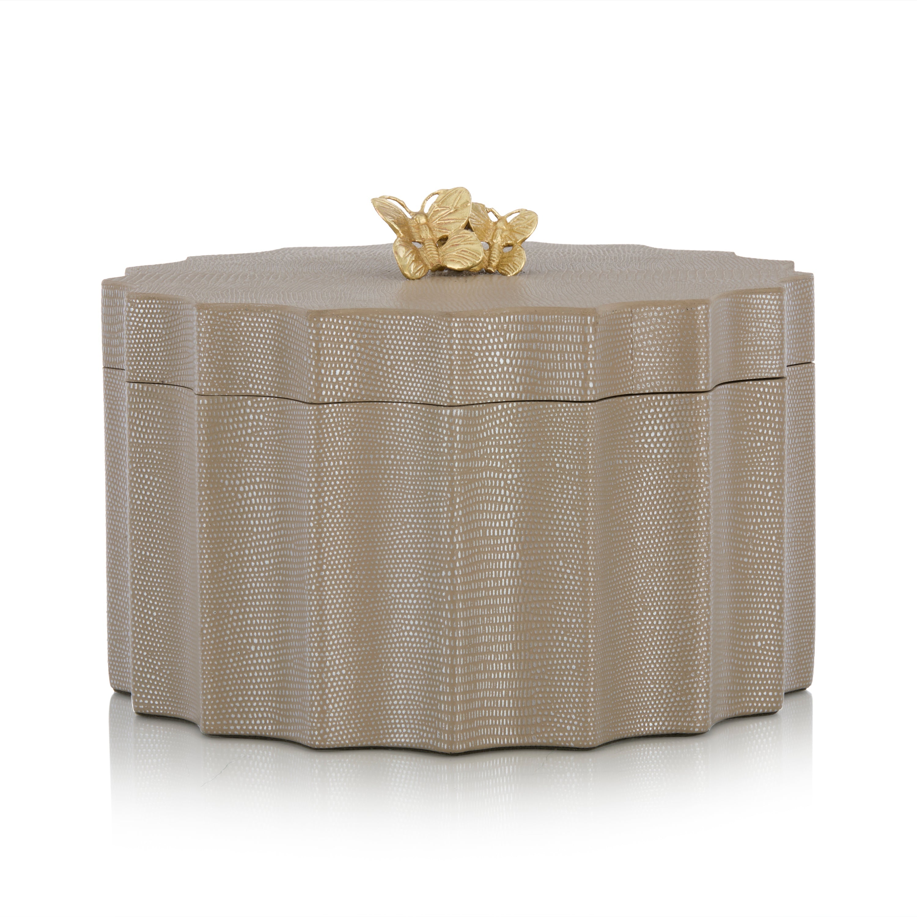 Farfalla Box | John Richard - JRA-15796
