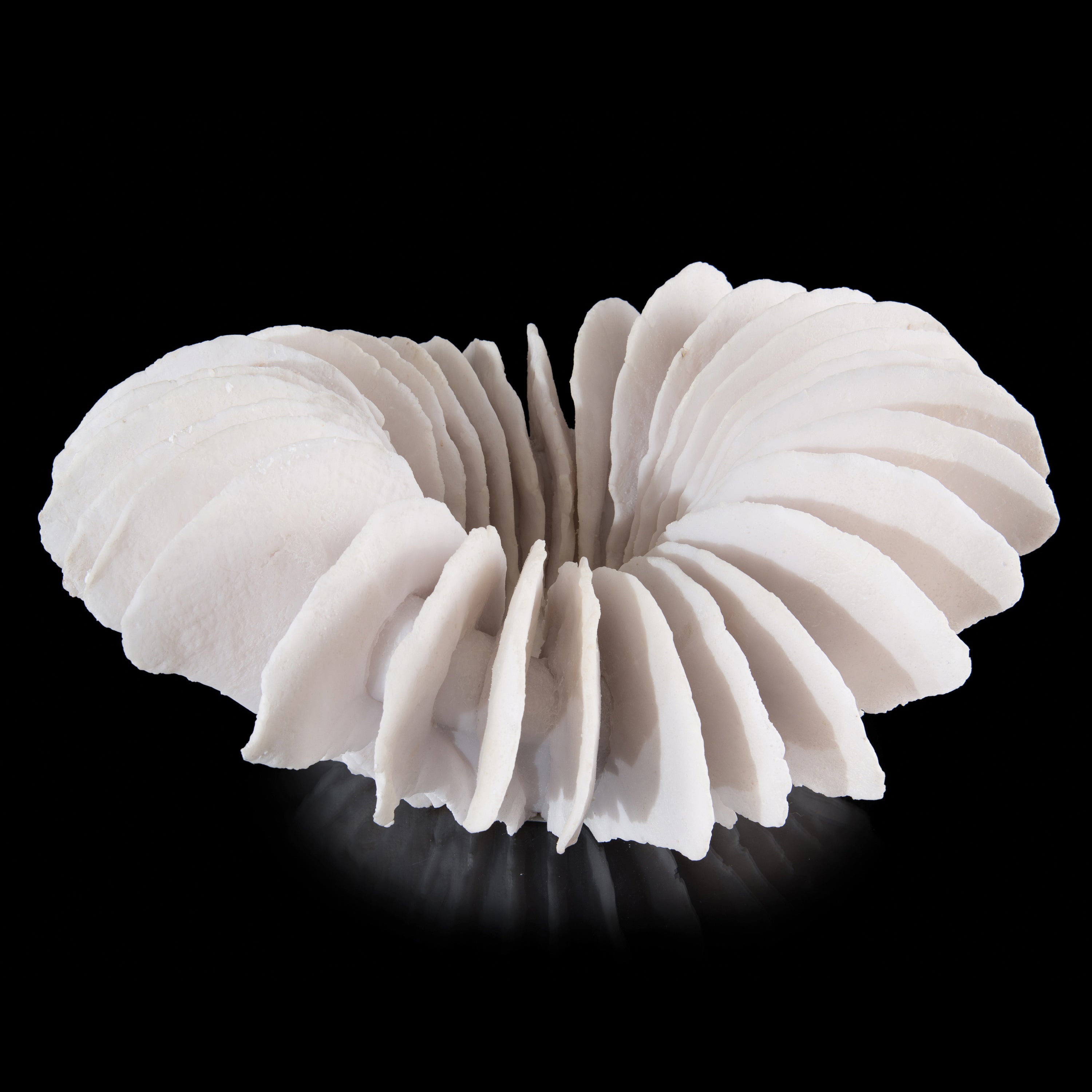Translucent Ridges Bowl | John Richard - JRA-9874
