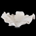 Floating Wave Bowl | John Richard - JRA-9875
