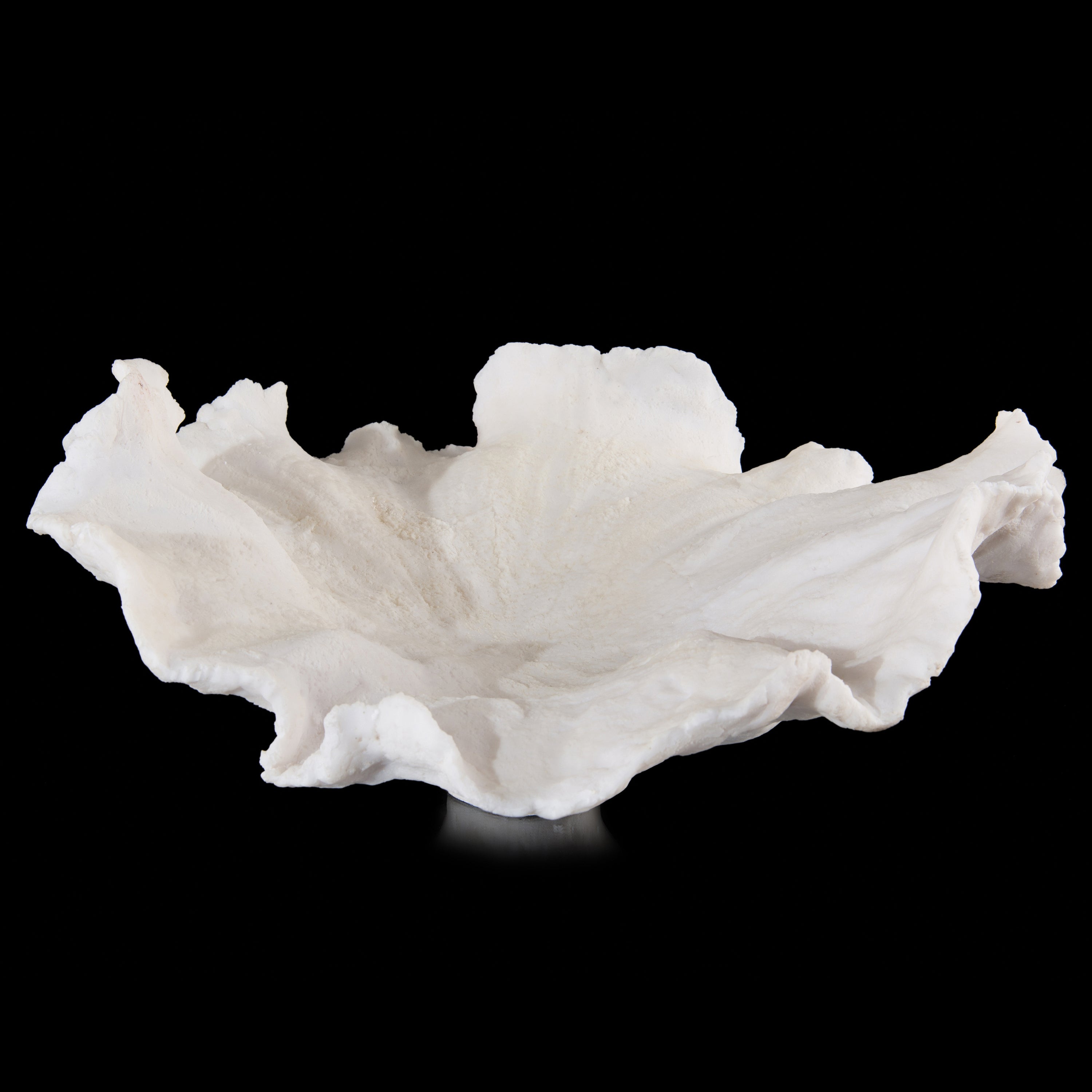 Floating Wave Bowl | John Richard - JRA-9875