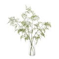 Aqua Fern | John-Richard - JRB-3622W