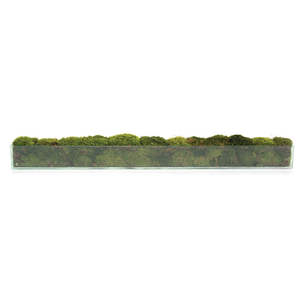 Moss Mounds | John-Richard - JRB-3701