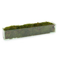 Moss Mound | John-Richard - JRB-3743