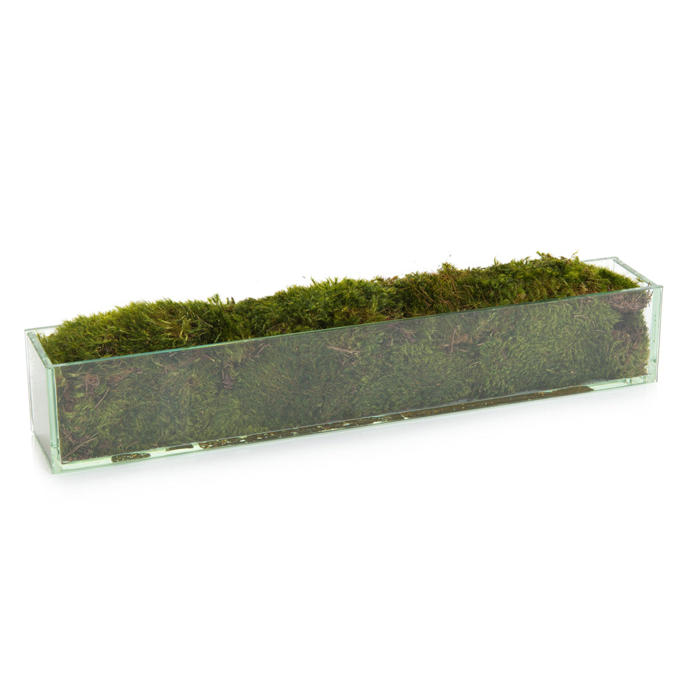 Moss Mound | John-Richard - JRB-3743