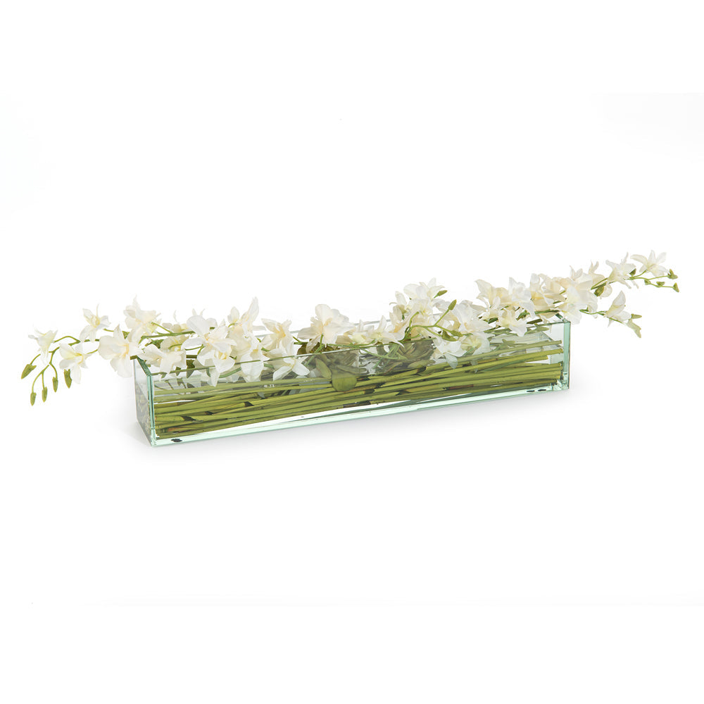 Orchid Simplicity | John-Richard - JRB-3821W