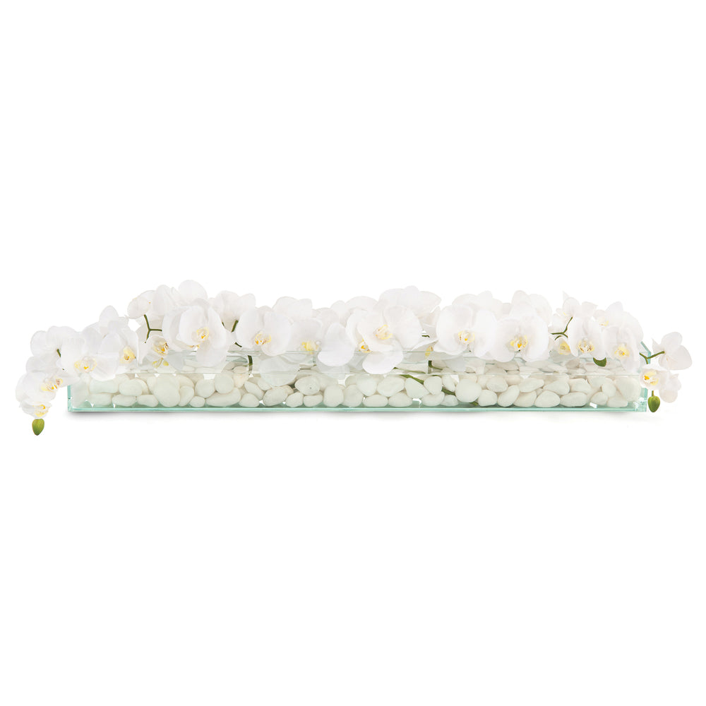 Floating Orchids | John-Richard - JRB-3946W