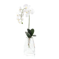 Crystal Orchid | John-Richard - JRB-4043W