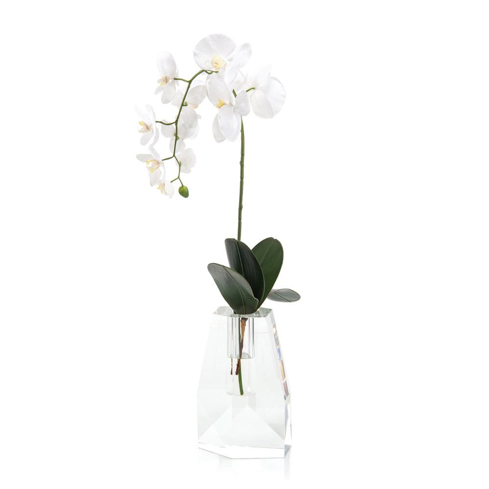 Crystal Orchid | John-Richard - JRB-4043W