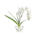 Cut Crystal | John-Richard - JRB-4181W