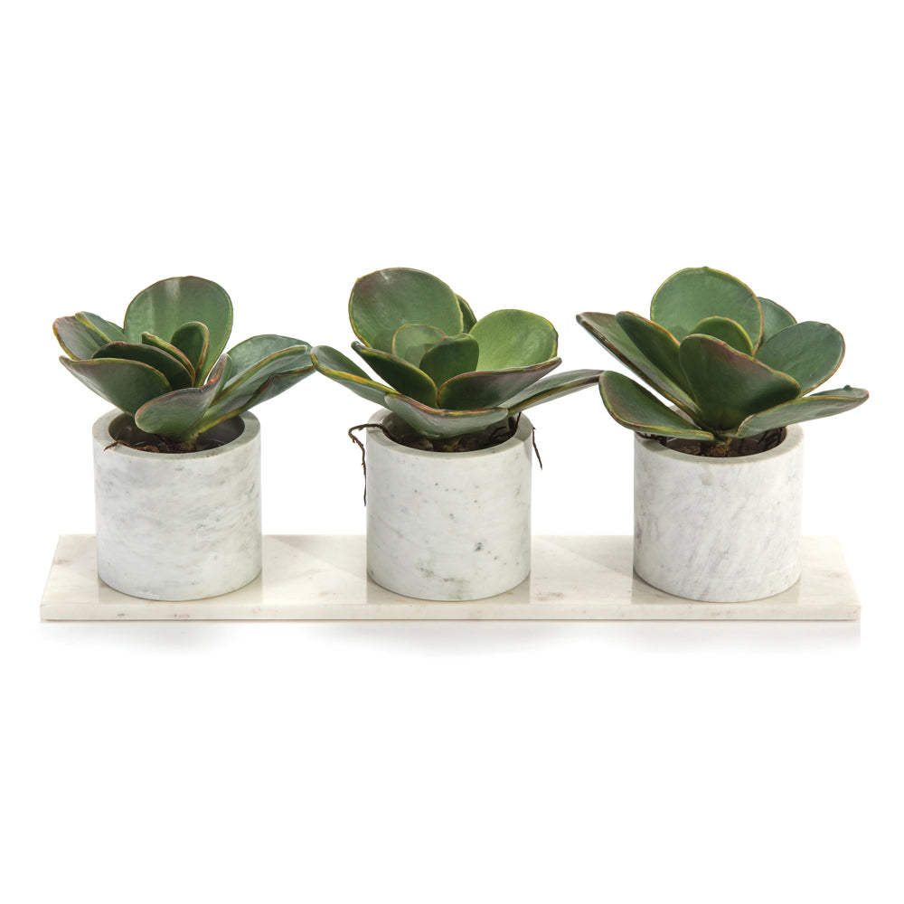 Marble Succulents | John-Richard - JRB-4184W