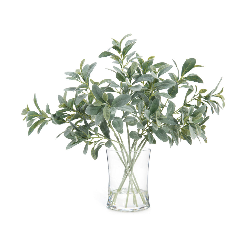 Lambs Ear | John-Richard - JRB-4231W