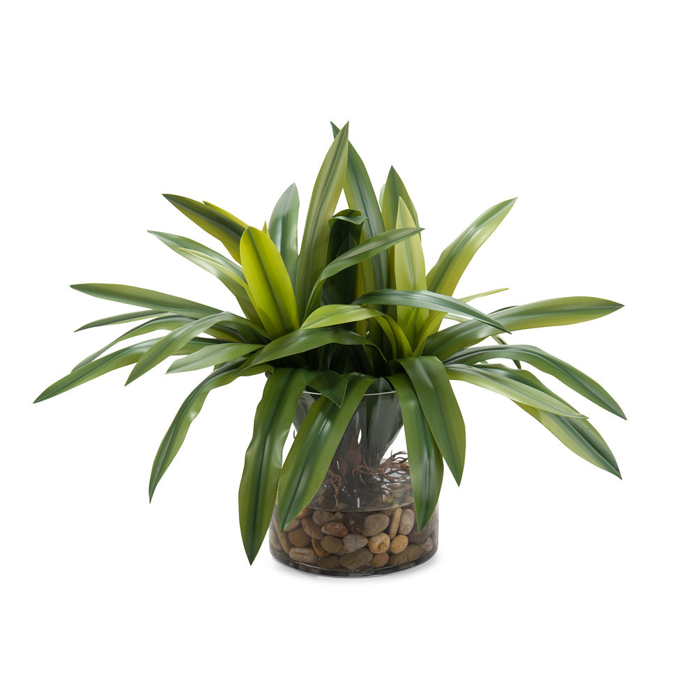 Real Touch Yucca | John-Richard - JRB-4294W