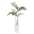 White Palms | John-Richard - JRB-4318