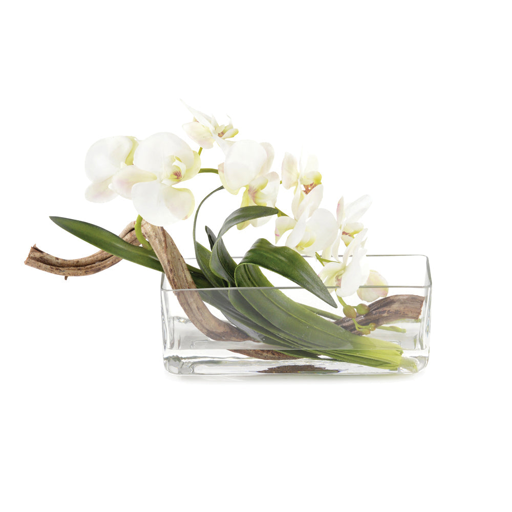 Curly Orchid | John-Richard - JRB-4466W